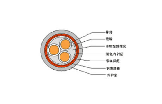 銅芯交聯聚乙烯(聚氯乙烯)絕緣銅絲編織銅帶繞包