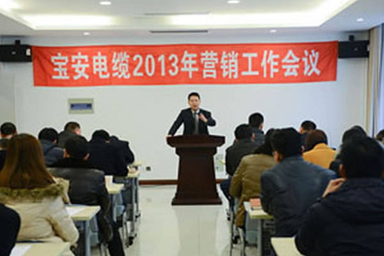 寶安電纜2013年營銷工作會議隆重召開
