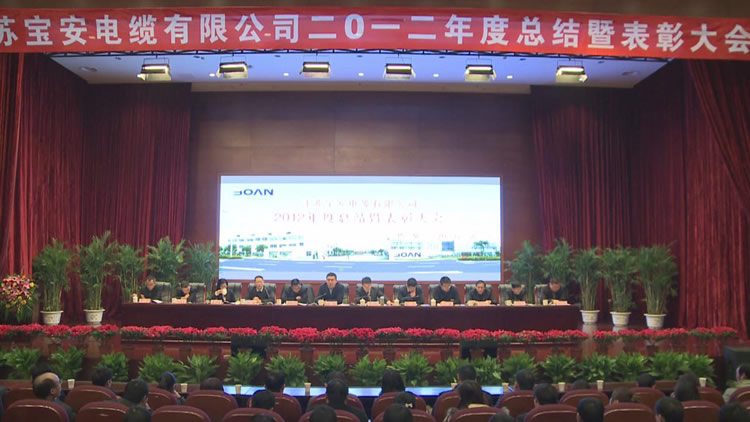 江蘇寶安電纜有限公司2012年度總結(jié)暨表彰大會隆(圖1)