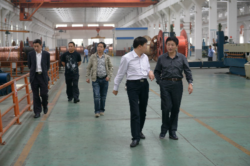 安徽黃山供電公司領導蒞臨我公司參觀指導(圖2)