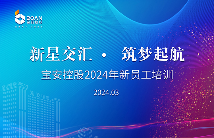 新星交匯 筑夢啟航|寶安控股舉行2024年新員工培訓