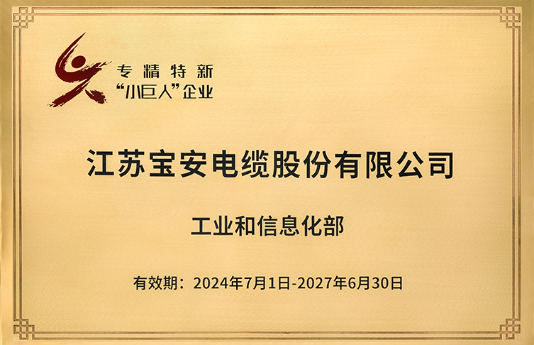 **級專精特新“小巨人”