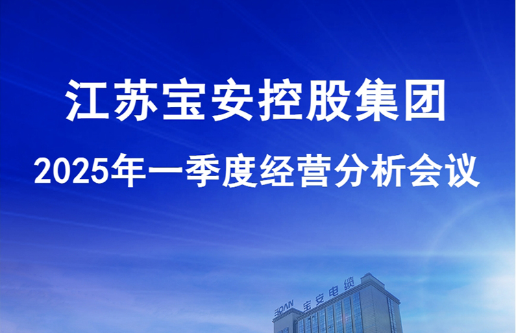 江蘇寶安控股集團2025年一季度經營分析會議圓滿召開